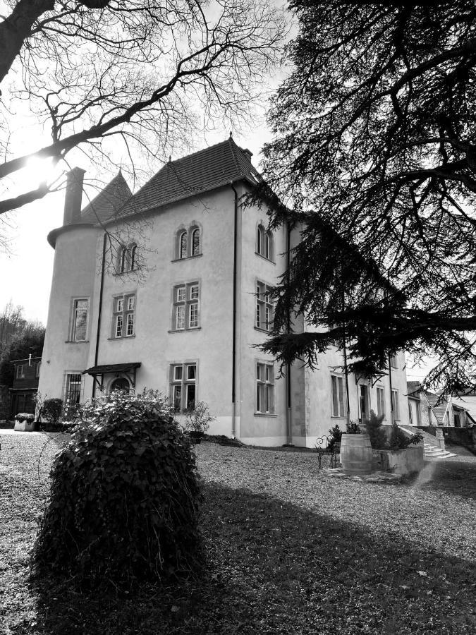Bed And Breakfast Le Chateau De Morey Belleau エクステリア 写真